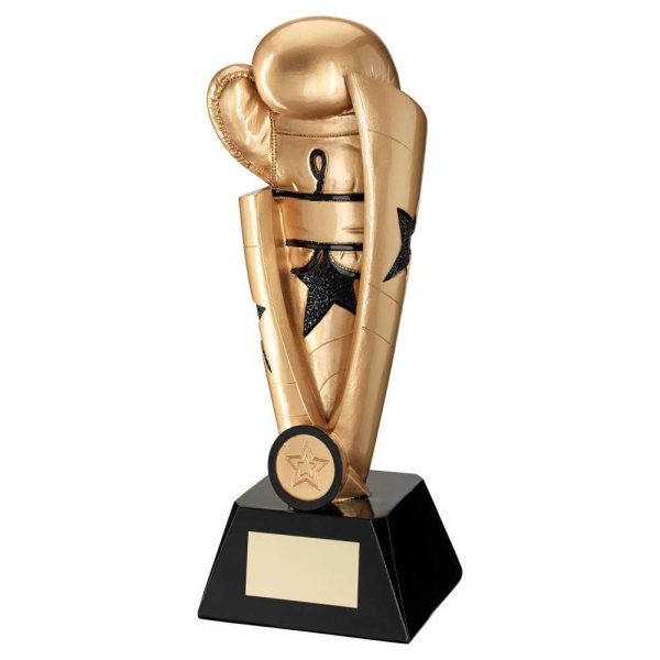 Gold/Black Boxing Star Column With Plate (1In Centre) - 8.5In